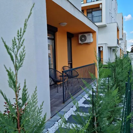 Blue Sasu * Timişoara