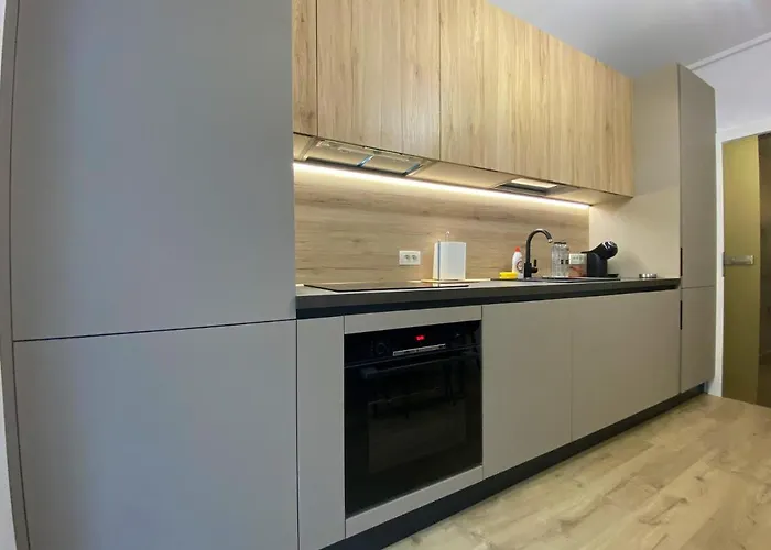 Appartement Blue Sasu Timişoara