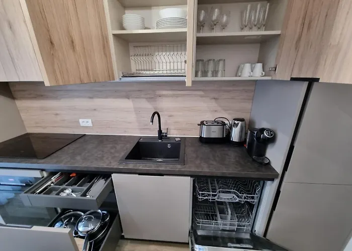 Blue Sasu Apartmán Temešvár