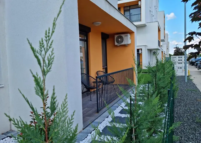 Blue Sasu * Timişoara